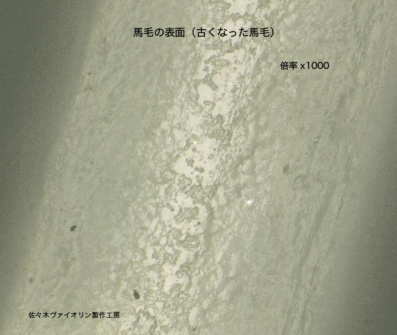 古い馬毛の表面